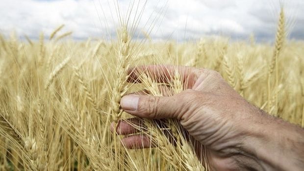 Dünyada 258 milyon kişi gıda yardımına muhtaç