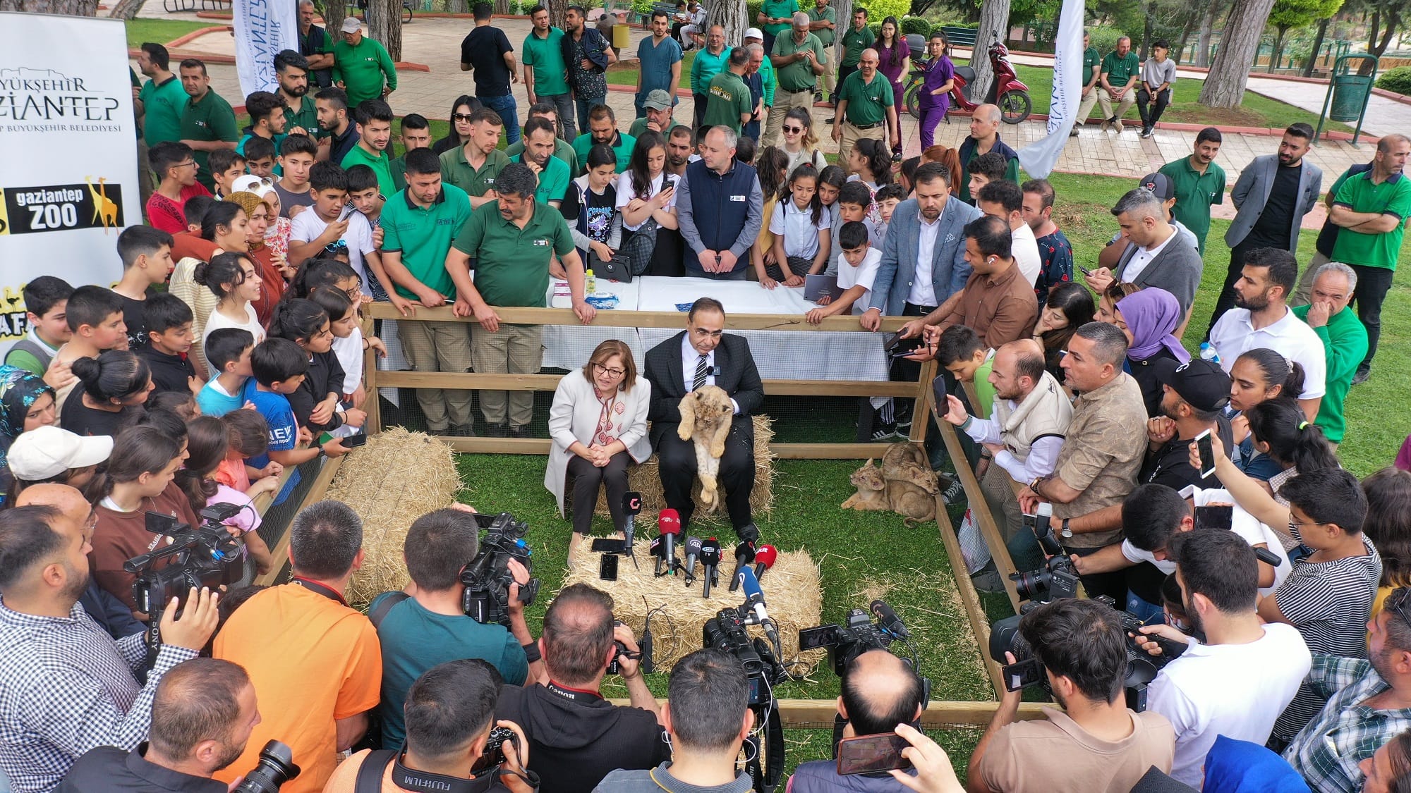 CUMHURBAŞKANI ERDOĞAN’A HEDİYE EDİLEN ASLANLARIN DÖRDÜZ YAVRUSU OLDU