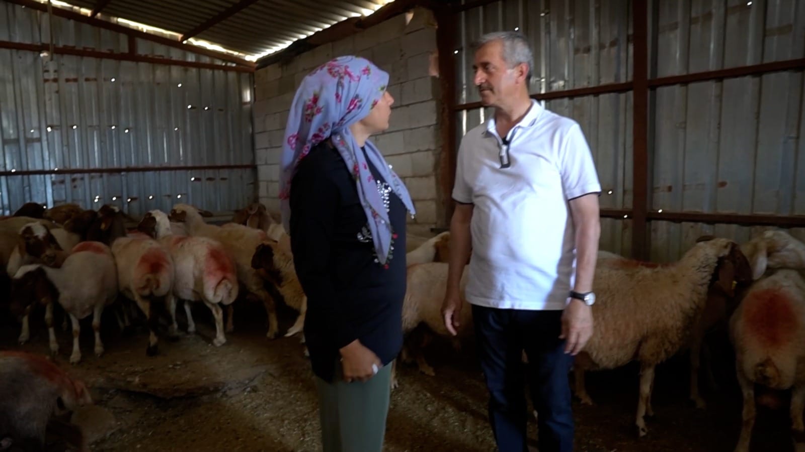 ŞAHİNBEY BELEDİYESİ’NİN DESTEKLERİ İLE HAYVANCILIK GELİŞİYOR