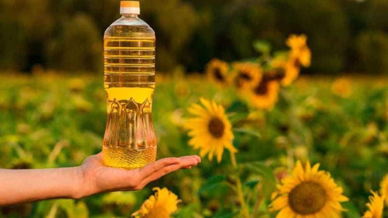 Ay Çiçeği Fiyatlarına Rekor Bir Zam Yapıldı! Vatandaşlar Fiyatlara İnanamadı!