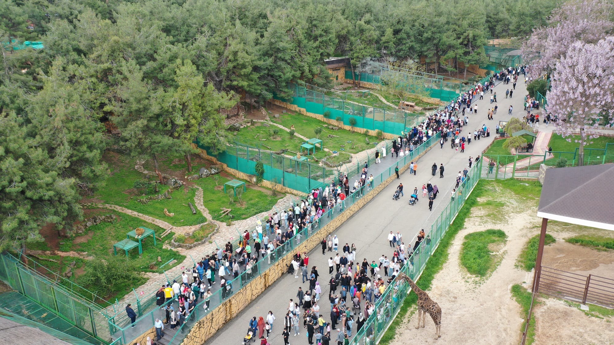 GAZİANTEP DOĞAL YAŞAM PARKI’NA BAYRAMDA ZİYARETÇİ AKINI!