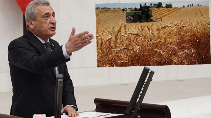 CHP’li Öztürkmen’den hükümete ‘Buğday’ uyarısı