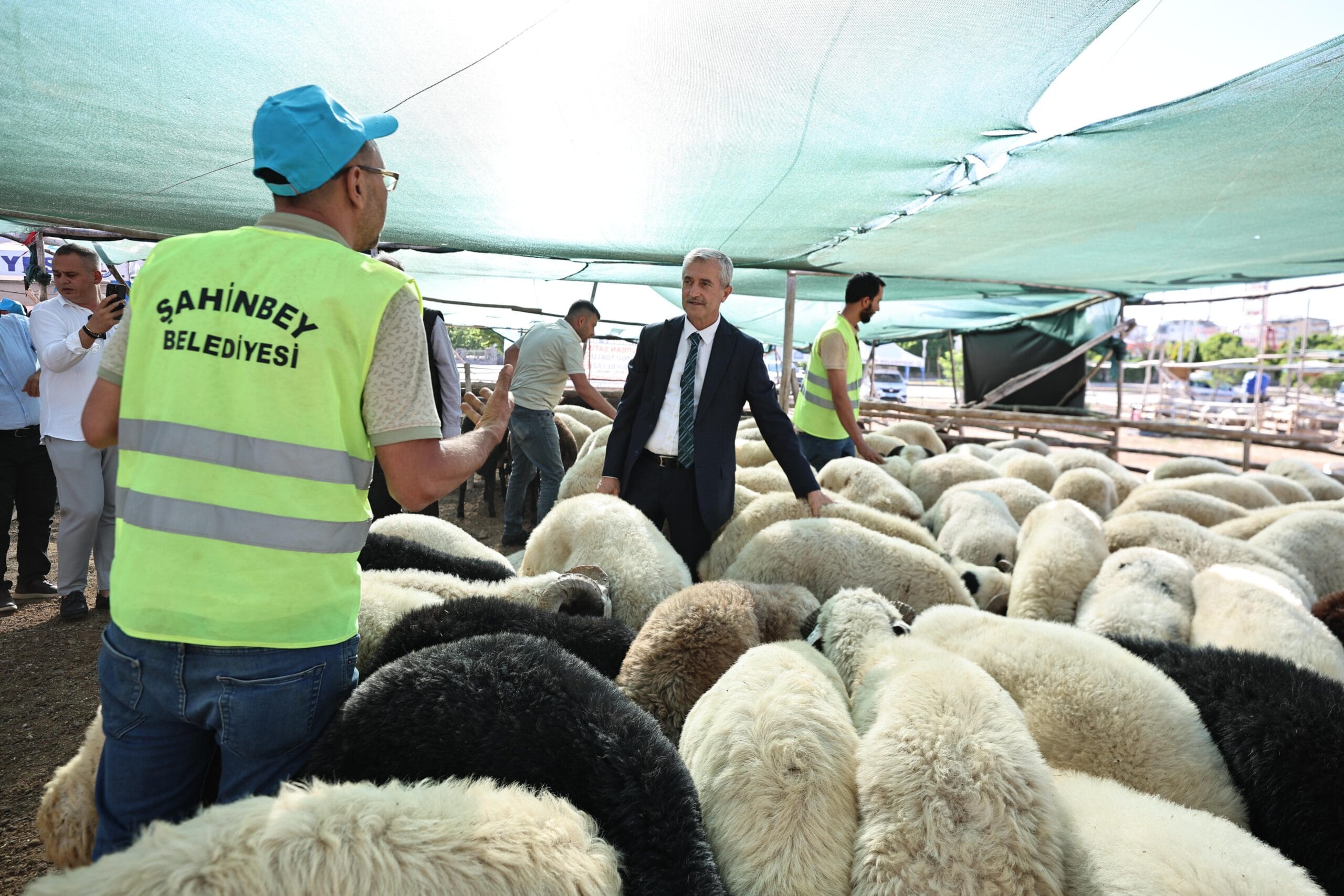 BAŞKAN TAHMAZOĞLU KURBAN FİYATLARINI DÜŞÜRDÜ