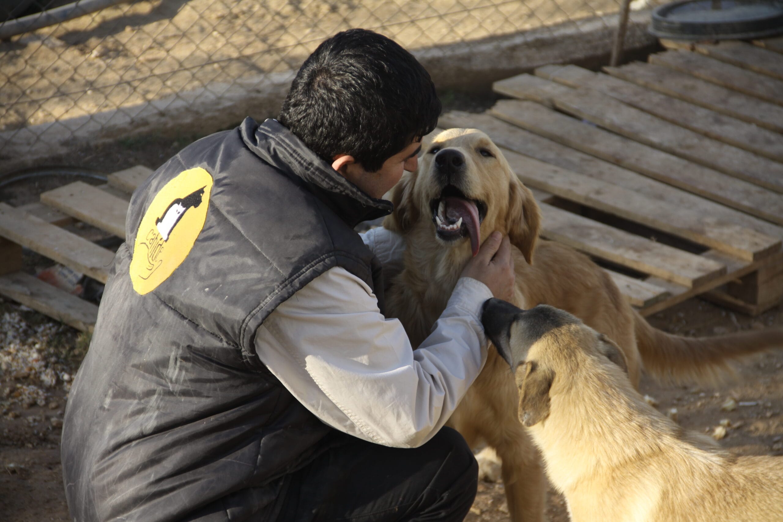 CAHİDE VAKFI’NDAN ÖLÜM YASASINA TEPKİ