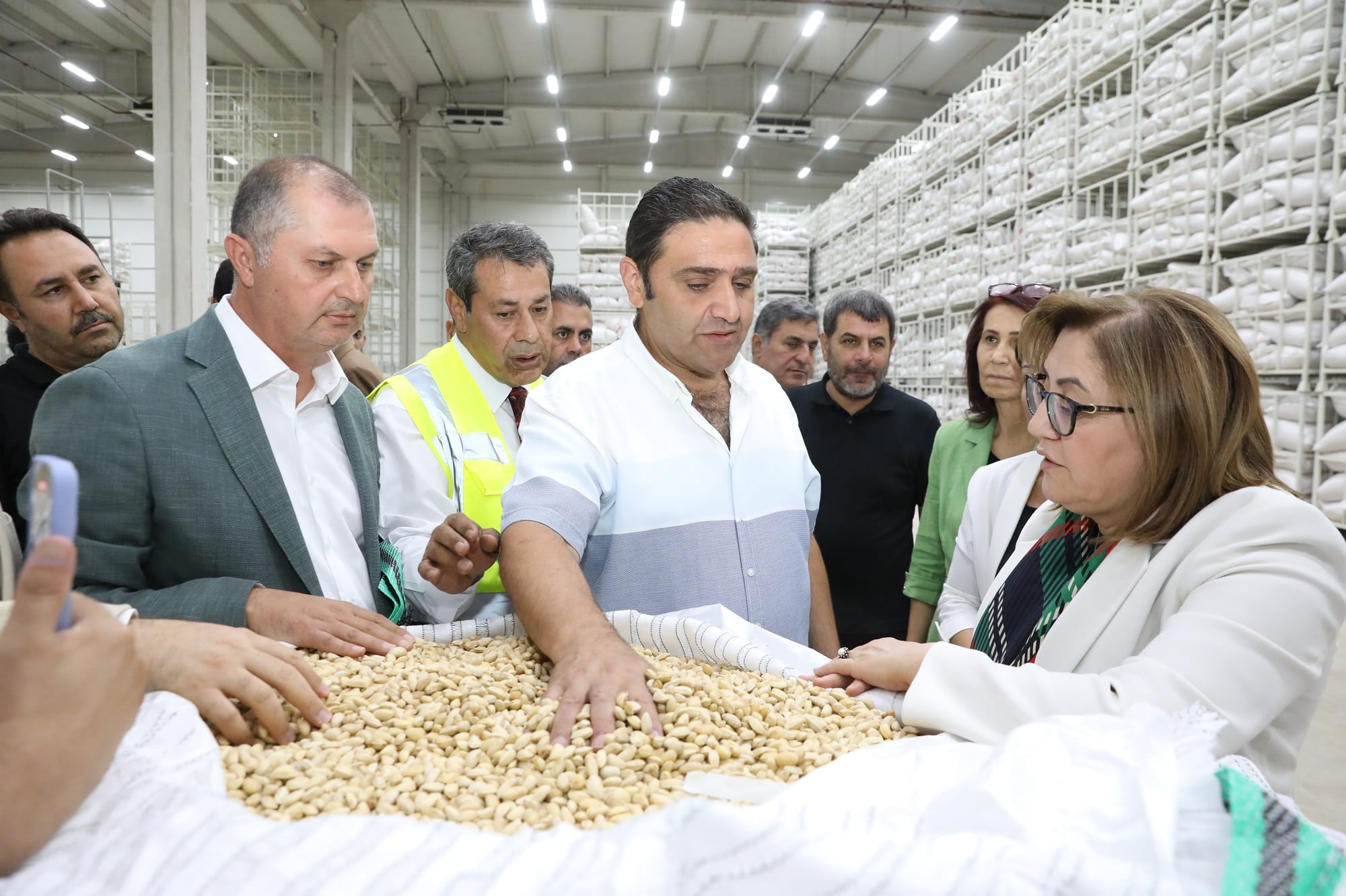 GAZİANTEP BÜYÜKŞEHİR BOZ KAVLAK FISTIĞIN ALIMINA BAŞLADI