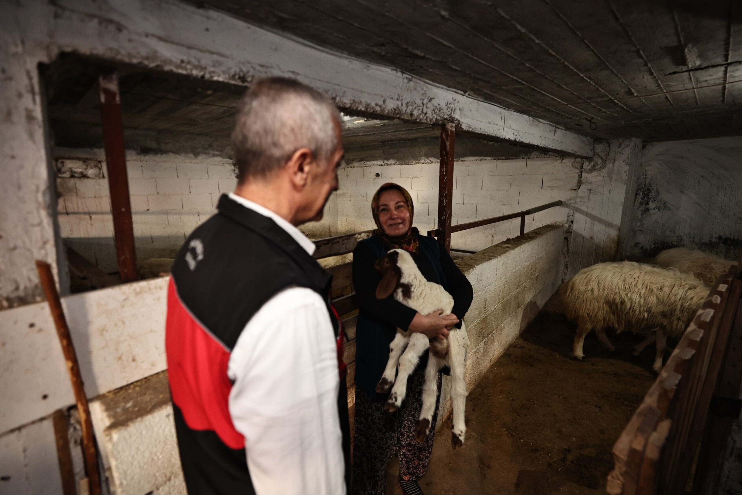 BAŞKAN TAHMAZOĞLU “HAYVANCILIĞA DESTEĞİMİZ SÜRECEK”