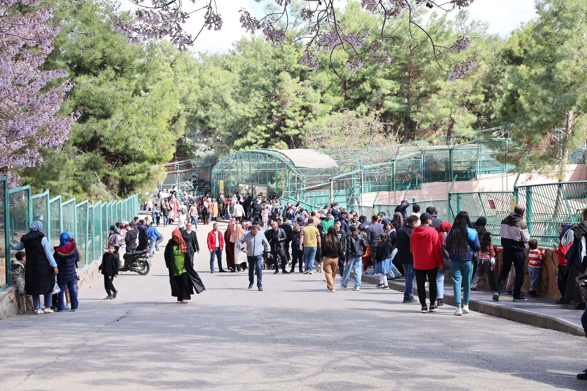 GAZİANTEP DOĞAL YAŞAM PARKI, BAYRAMDA 150 BİN ZİYARETÇİYLE REKOR KIRDI 