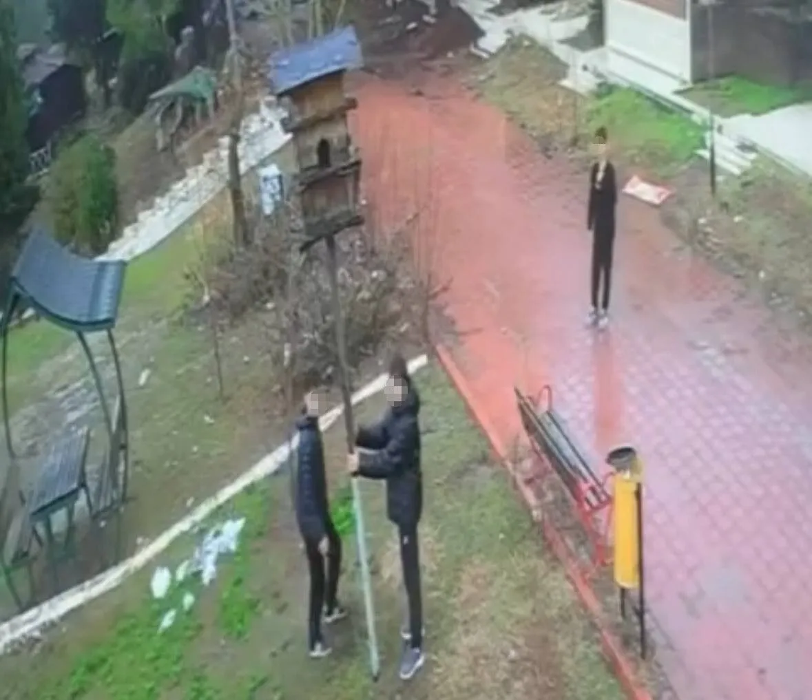 Adana’da Çocuklar Kuş Yuvasını Sallayıp Yıktı!